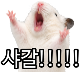 Sticker 5