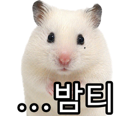 Sticker 8